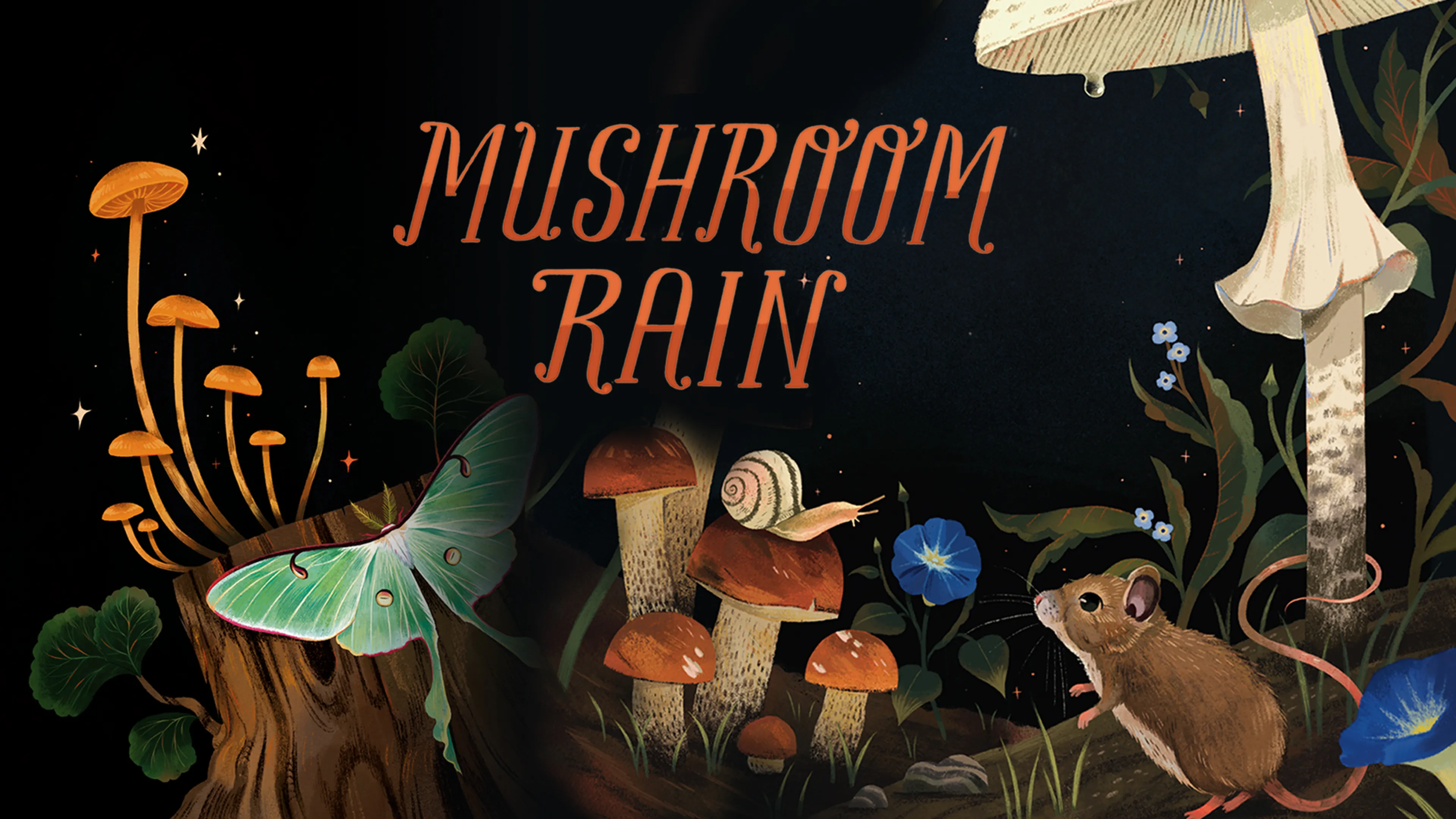 Mushroom Rain poster